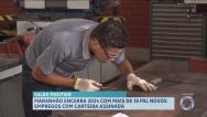 Maranhão encerra 2024 com saldo positivo de mais de 16 mil empregos