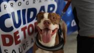 1ª edição do Cuidar de Todos Saúde Animal de 2025 contabiliza mais de 1.600 atendimentos