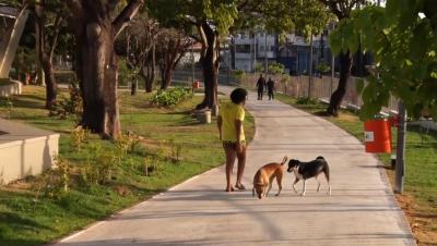 Parques e praias ficam movimentados no feriado de Finados 