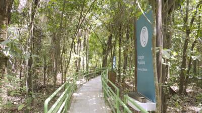 Parque Botânico da Vale conta com 100 hectates de fauna e flora raras