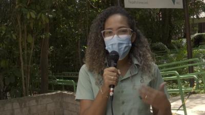 Parque Botânico da Vale oferece programação online