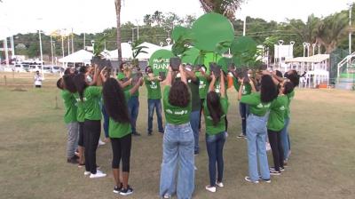 No Dia da Árvore, governo celebra com ações nos 217 municípios do MA