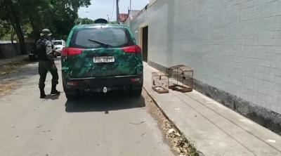 Polícia ambiental resgata pássaros raros em residência na capital