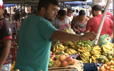 Imperatriz está com boas condições para o plantio de pequi e manga