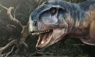 Nova espécie de dinossauro é descoberta na Argentina