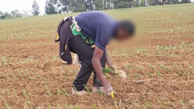 Trabalhadores são resgatados em situação de escravidão em Balsas