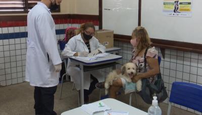 Programa Mais Saúde Animal é realizado no Anjo da Guarda