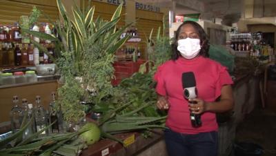 Surto de gripe: remédios naturais ajudam no tratamento