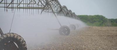 Produção de grãos registra aumento no Maranhão, diz estudo