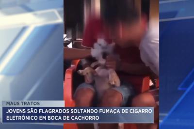 Jovens são flagrados soltando fumaça de cigarro eletrônico em boca de cachorro