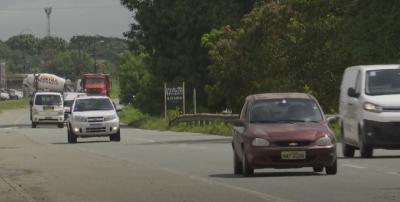 No MA, 6% dos acidentes nas BR's envolvem animais na pista