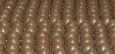 Empresa produz quase 4 mil trufas de chocolate por dia