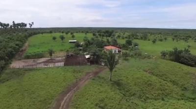 Leilão de área quilombola no MA é adiado para julho