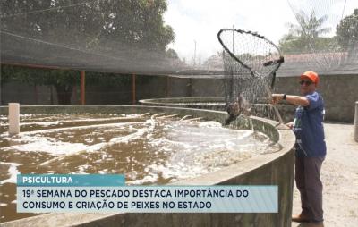 Piscicultura: consumo e criação de peixes apresenta alta de 6% no MA