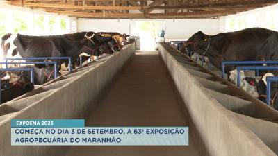 Expoema 2023: Parque Independência está liberado para chegada dos animais