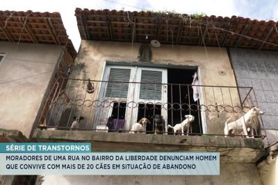 São Luís: moradores denunciam  cães em situação de abandono  no bairro da Liberdade