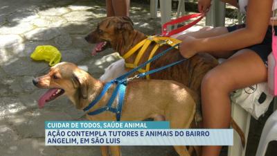 Programa Cuidar de Todos leva atendimento para cães e gatos no Angelim, em SL