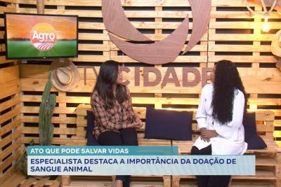 Agro Record: especialista destaca a importância da doação de sangue animal