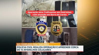 Polícia apreende 15 aparelhos celulares em unidade prisional do MA