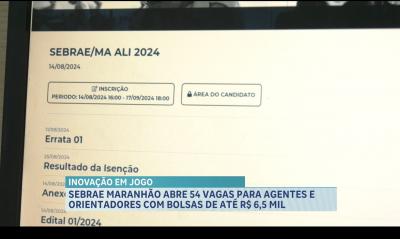 Sebrae Maranhão abre 54 vagas para agentes e orientadores com bolsas de até R$ 6,5 mil