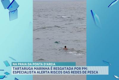 Tartaruga marinha é resgatada em praia de São Luís: especialista alerta risco das redes de pesca