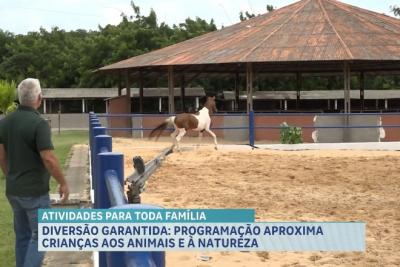 Programação aproxima crianças aos animais e à natureza em Raposa