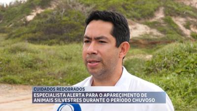 Especialista explica aparecimento de animais silvestres no período chuvoso