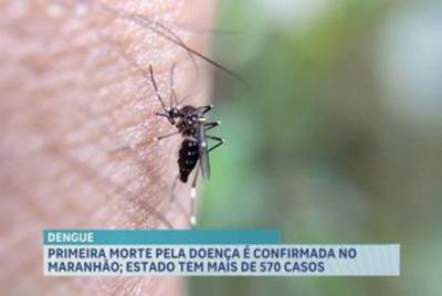 Anvisa estuda comercialização de autotestes para o diagnóstico da dengue