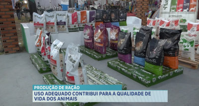 Uso adequado de rações contribui para qualidade de vida dos animais