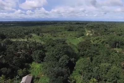Inpe: desmatamento na Amazônia sobe para quase 30% no 1º semestre deste ano