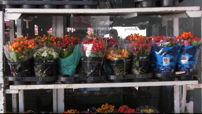 Dia de Finados deve movimentar o comércio de flores em São Luís