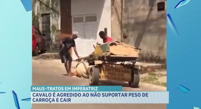 Maus-tratos: cavalo cai após não suportar peso de carga e é chicoteado pelo dono