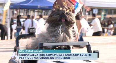 Salvatore Pet celebra 4 anos com um “petnique” no Parque do Rangedor