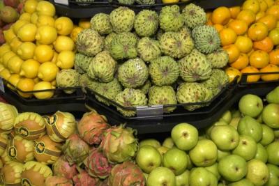 Saiba os alimentos que ajudam a fortalecer o sistema imunológico