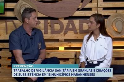 Agro Record: vigilância sanitária reforçada em granjas de 15 municípios do Maranhão