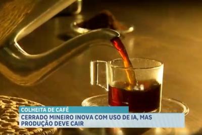 Agro Record: estratégias simples aumentam a produção no Maranhão e IA revoluciona colheita de café em Minas