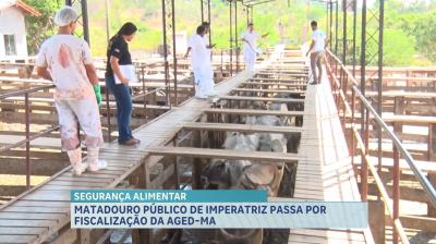 AGED-MA fiscaliza matadouro público em imperatriz