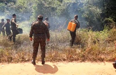Maranhão tem focos de calor reduzidos em mais de 10% em relação a 2024