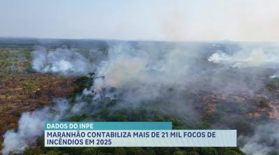 Levantamento do INPE revela mais de 21 mil focos de queimadas no ano de 2025