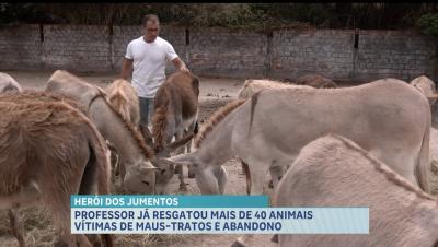 Mais de 40 jumentos, vítimas de abandono e maus-tratos, são resgatados por professor, em São Luís