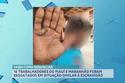 Trabalhadores maranhenses são resgatados em situação similar à escravidão, no Ceará