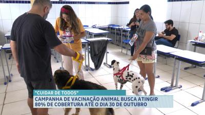 Campanha de vacinação animal, promovida pelo Governo, vai até o dia 30 de outubro no Maranhão