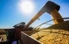Economia brasileira cresce 1,4% no primeiro trimestre puxada pela agropecuária, diz IBGE