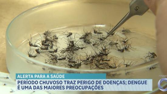 Saiba quais são as principais doenças transmitidas no período de chuvas